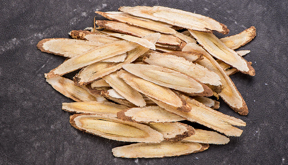 Astragalus